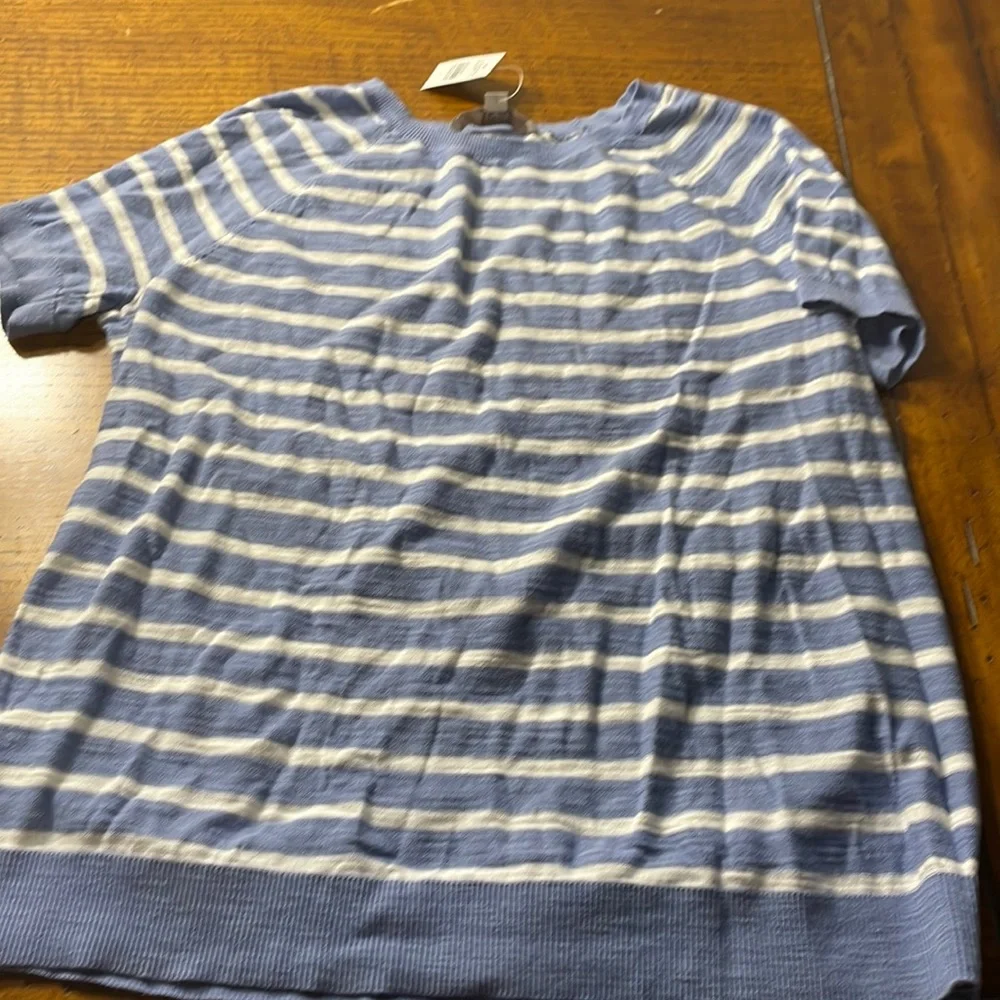 NWT Loft Lightweight short sleeve sweater - blue and white - Picture 1 of 4